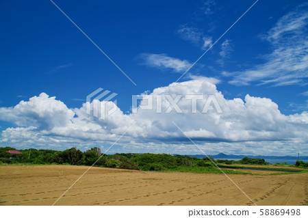 A field at the southern end of the Miura Peninsula A field at the southern end of the Miura Peninsula 58869498