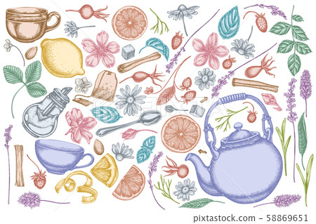 Vector set of hand drawn pastel cinnamon, lemons, oranges, tea bag, sugar cubes, heather, chamomile Vector set of hand drawn pastel cinnamon, lemons, oranges, tea bag, sugar cubes, heather, chamomile 58869651
