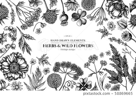 Floral design with black and white shepherd's purse, heather, fern, wild garlic, clover Floral design with black and white shepherd's purse, heather, fern, wild garlic, clover 58869665