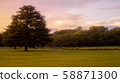 Sunset garden Sunset garden 58871300