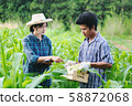 Agriculture Young men and women smart farmers 58872068