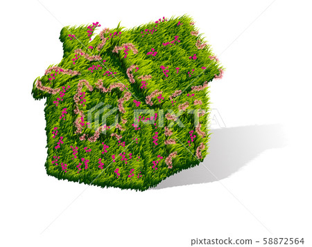 Green house with flowers 58872564