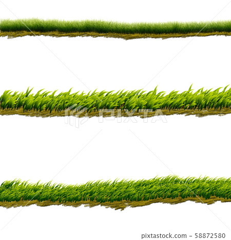 Green grass lines Green grass lines 58872580