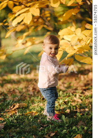 Cute baby girl stand about beautiful yellow tree and play with leaf on the tree Cute baby girl stand about beautiful yellow tree and play with leaf on the tree 58874705