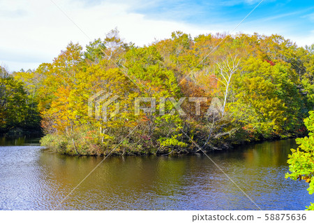 秋葉和田原湖 58875636
