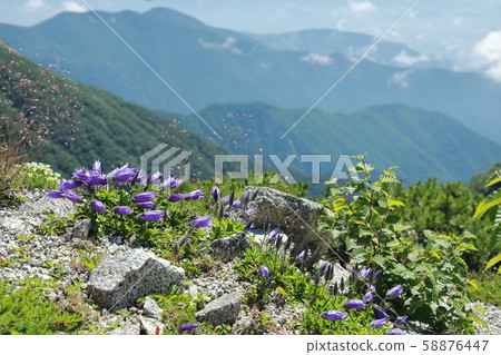 中央阿爾卑斯山天氣晴朗 中央阿爾卑斯山天氣晴朗 58876447