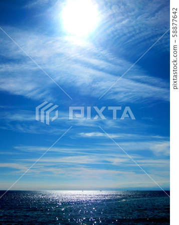 Seascape Seascape 58877642