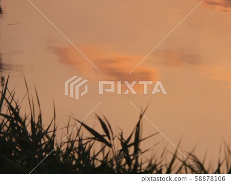 河染在夕陽下 河染在夕陽下 58878106