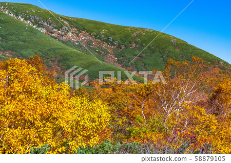 《Nagano Prefecture》Autumn leaves Norikura and natural scenery 《Nagano Prefecture》Autumn leaves Norikura and natural scenery 58879105