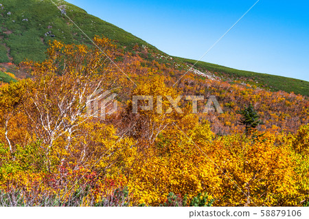 《Nagano Prefecture》Autumn leaves Norikura and natural scenery 《Nagano Prefecture》Autumn leaves Norikura and natural scenery 58879106