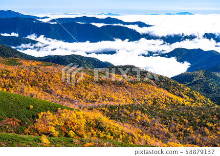 《Nagano Prefecture》Autumn leaves on the clouds, Mt Norikura 《Nagano Prefecture》Autumn leaves on the clouds, Mt Norikura 58879137