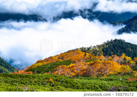 《Nagano Prefecture》Autumn leaves on the clouds, Mt Norikura 《Nagano Prefecture》Autumn leaves on the clouds, Mt Norikura 58879172