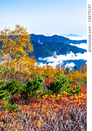 《Nagano Prefecture》Autumn leaves on the clouds, Mt Norikura 58879197
