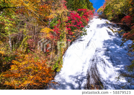 《Tochigi Prefecture》Autumn Nikko/Yutaki 58879523