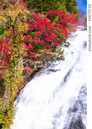 《 To木縣》秋季日光/湯垣 《 To木縣》秋季日光/湯垣 58879530
