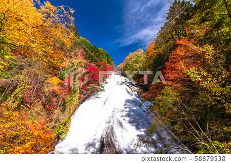 《Tochigi Prefecture》Autumn Nikko/Yutaki 58879538