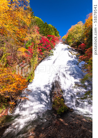 《Tochigi Prefecture》Autumn Nikko/Yutaki 58879541