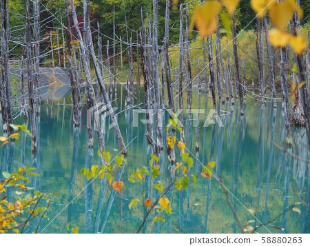 Autumn's Blue Pond Autumn's Blue Pond 58880263