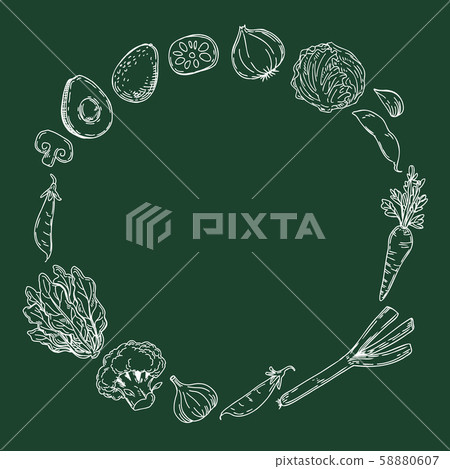 蔬菜的手繪插圖的圓環框架 蔬菜的手繪插圖的圓環框架 58880607