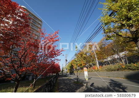 札幌平石街的城市景觀(靠近奧林匹克綜合體的五丁目瑪科馬奈內町) 札幌平石街的城市景觀(靠近奧林匹克綜合體的五丁目瑪科馬奈內町) 58880679