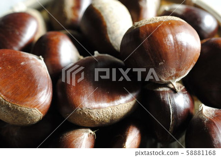 Chestnut, brown, nuts, food, autumn, chestnut, fruit, nuts, nature, natural Chestnut, brown, nuts, food, autumn, chestnut, fruit, nuts, nature, natural 58881168