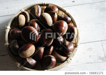 Chestnut, brown, nuts, food, autumn, chestnut, fruit, nuts, nature, natural Chestnut, brown, nuts, food, autumn, chestnut, fruit, nuts, nature, natural 58881171