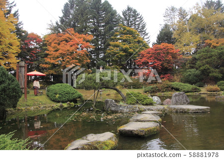 秋天的葉子在北海道4 秋天的葉子在北海道4 58881978