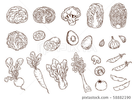 蔬菜手繪插圖集 蔬菜手繪插圖集 58882190
