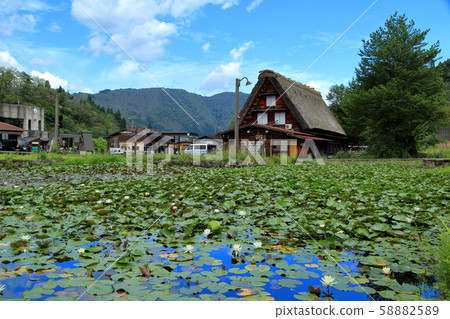 Shirakawago Shirakawago 58882589