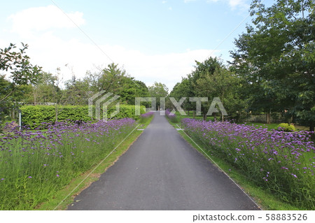 Northern Horse Park Tomakomai Hokkaido Stock Photo 5526