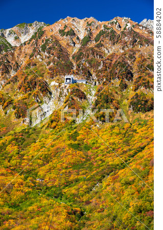 <Toyama Prefecture> Autumn leaves of Kurobedaira and Tateyama Kurobe Alpine Route <Toyama Prefecture> Autumn leaves of Kurobedaira and Tateyama Kurobe Alpine Route 58884202