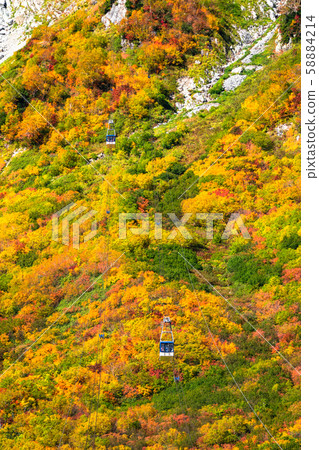 <Toyama Prefecture> Autumn leaves of Kurobedaira and Tateyama Kurobe Alpine Route 58884214