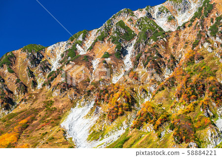 <Toyama Prefecture> Autumn leaves of Kurobedaira and Tateyama Kurobe Alpine Route <Toyama Prefecture> Autumn leaves of Kurobedaira and Tateyama Kurobe Alpine Route 58884221