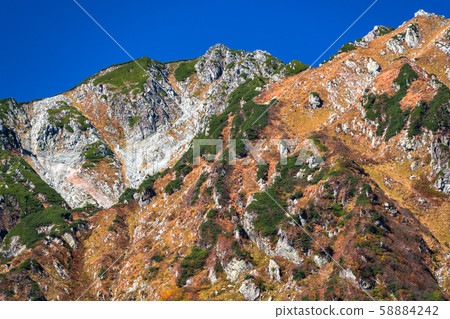 <Toyama Prefecture> Autumn leaves of Kurobedaira and Tateyama Kurobe Alpine Route <Toyama Prefecture> Autumn leaves of Kurobedaira and Tateyama Kurobe Alpine Route 58884242