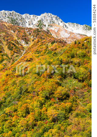 <Toyama Prefecture> Autumn leaves of Kurobedaira and Tateyama Kurobe Alpine Route <Toyama Prefecture> Autumn leaves of Kurobedaira and Tateyama Kurobe Alpine Route 58884244