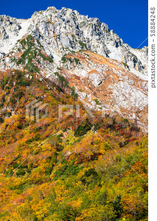 <富山縣>黑部平和立山黑部阿爾卑斯山脈的紅葉 <富山縣>黑部平和立山黑部阿爾卑斯山脈的紅葉 58884248