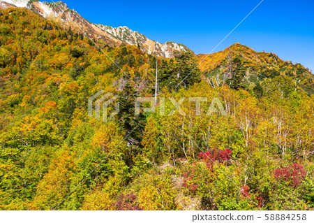 <Toyama Prefecture> Autumn leaves of Kurobedaira and Tateyama Kurobe Alpine Route <Toyama Prefecture> Autumn leaves of Kurobedaira and Tateyama Kurobe Alpine Route 58884258