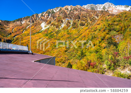 <Toyama Prefecture> Autumn leaves of Kurobedaira and Tateyama Kurobe Alpine Route <Toyama Prefecture> Autumn leaves of Kurobedaira and Tateyama Kurobe Alpine Route 58884259
