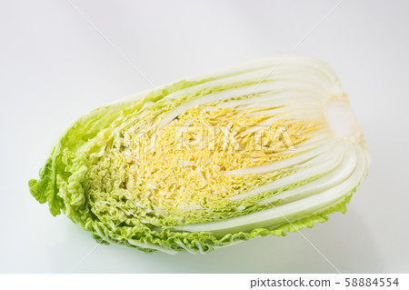 Baby chinese cabbage 58884554