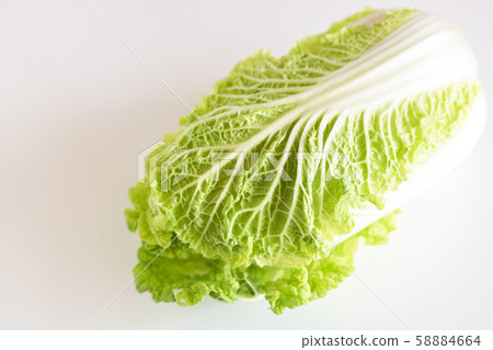 Baby chinese cabbage 58884664