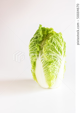 Baby chinese cabbage 58884670