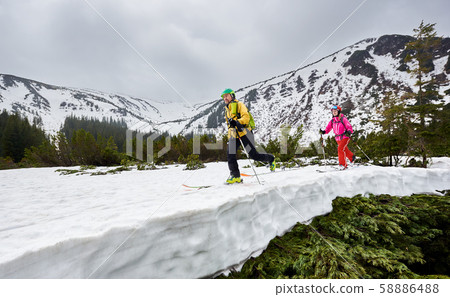Side view of cross country skiers backpackers walking on ski in wooded mountains. Snow-covered Side view of cross country skiers backpackers walking on ski in wooded mountains. Snow-covered 58886488