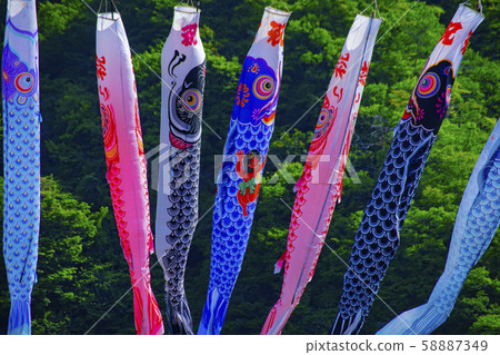 Carp streamer May Children's Day Setsubun Spring Ryujin Great Suspension Bridge Hitachiota City Valley Green Valley Carp streamer May Children's Day Setsubun Spring Ryujin Great Suspension Bridge Hitachiota City Valley Green Valley 58887349