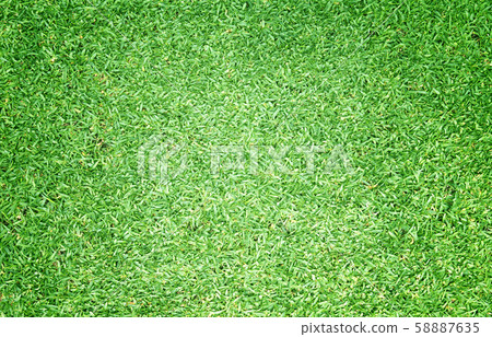 Green grass background Green grass background 58887635