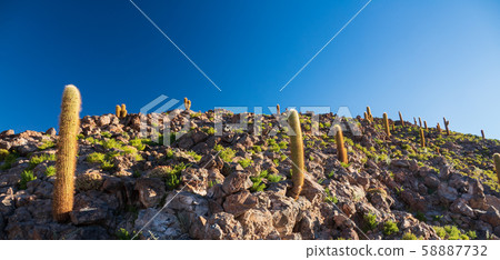 Los Flamencos National Reserve Guatin canyon 58887732