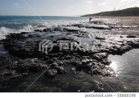 岩石海岸和海灘上的人 岩石海岸和海灘上的人 58888198
