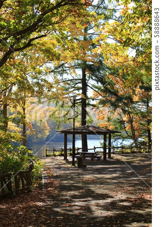 A gazebo near the pond in Nishioka Park during autumn foliage season 58888643