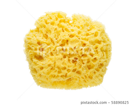 Yellow natural sponge isolated on white Yellow natural sponge isolated on white 58890825
