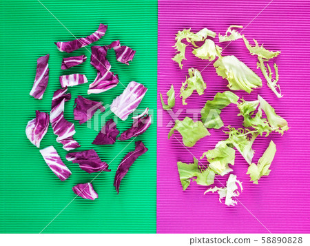 Bright purple and green lettuce salad leaves Bright purple and green lettuce salad leaves 58890828