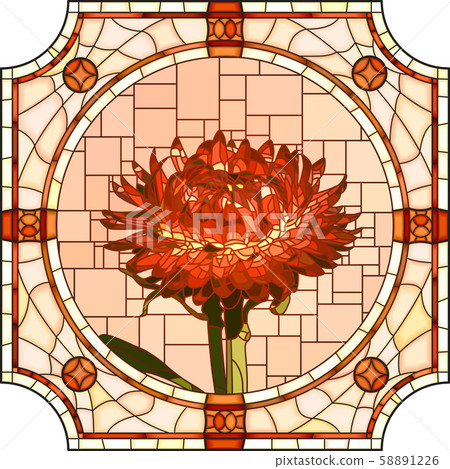 Vector illustration of blooming helichrysum. Vector illustration of blooming helichrysum. 58891226